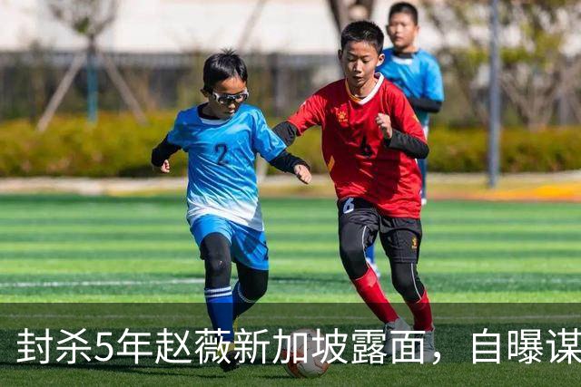 封杀5年赵薇新加坡露面,自曝谋生手段,网友:想不到她会干这个