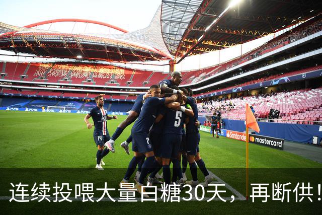 连续投喂大量白糖30天，再断供！国外网红扮“蚂蚁天神”整蛊野生蚁群